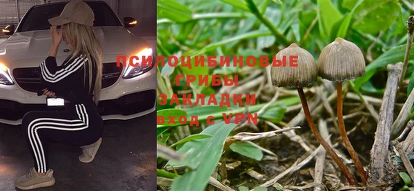 jwh Дмитриев