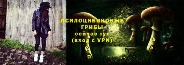соль курить ск Дмитров