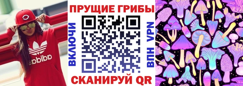 Псилоцибиновые грибы Psilocybe  Купить закладки  Шумерля 